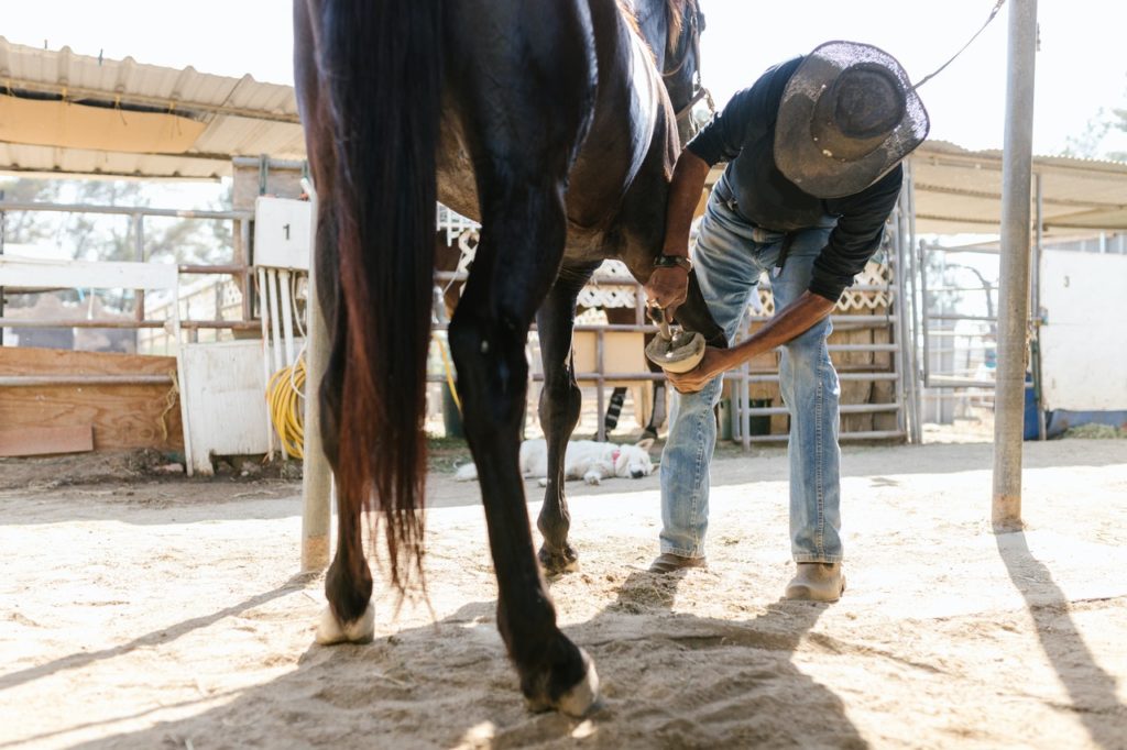 Why do horses need horseshoes?