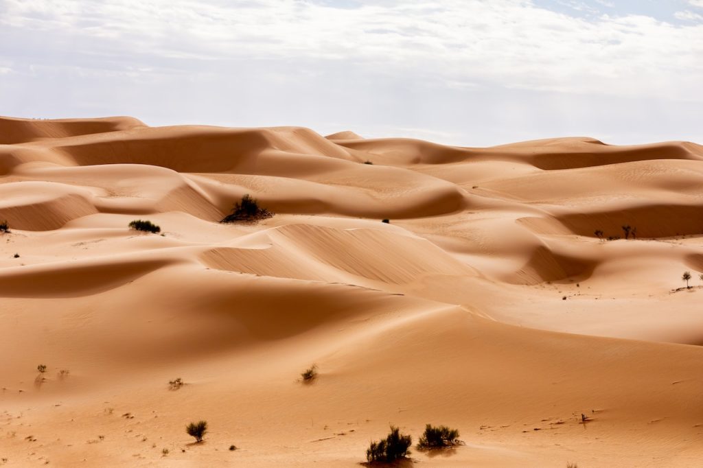 how long has the sahara been a desert
