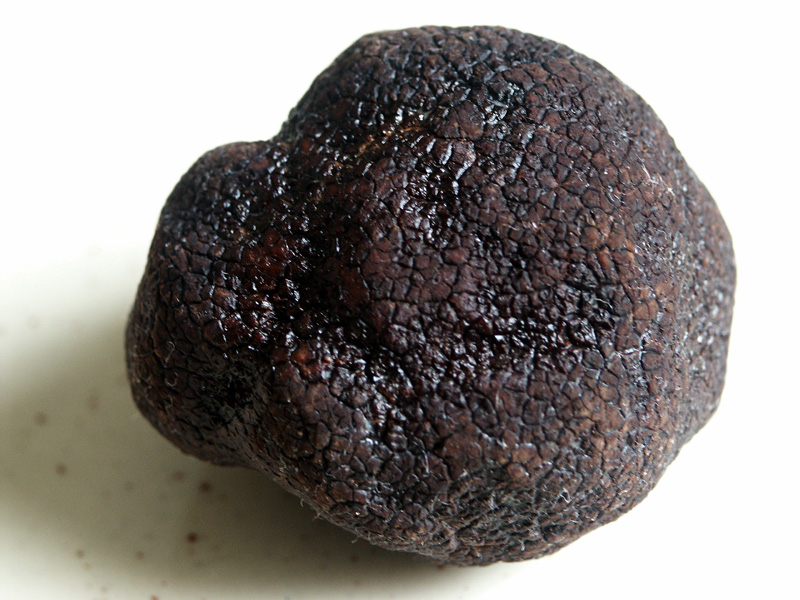 Why are truffles so expensive? They are very rare and very difficult to grow.