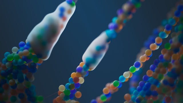 What is junk DNA?