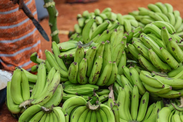 What is a Banana Republic?