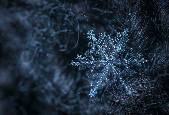 Are all snowflakes really different?